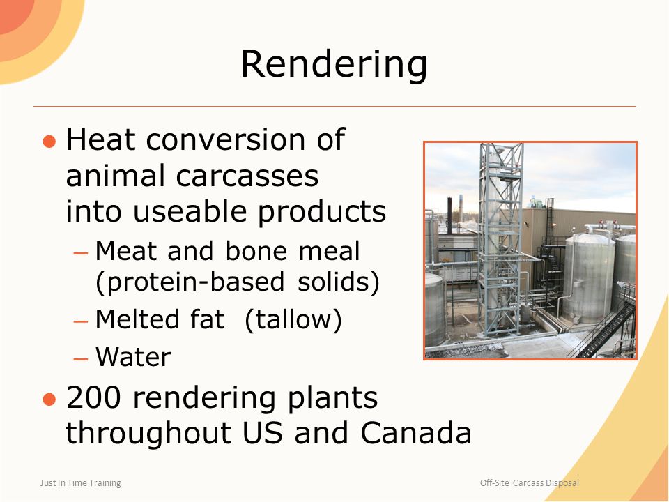 Carcass Disposal Off-Site Locations (Rendering and Landfills) and  Transportation Biosecurity. - ppt download
