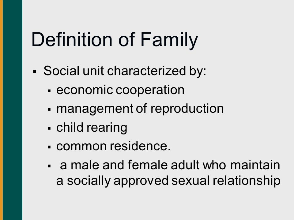 Chapter 9 Marriage and the Family. What We Will Learn  Is the ...