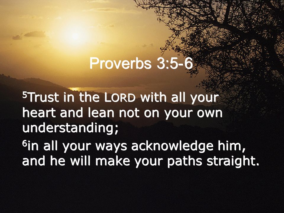 Image result for trust in the lord with all your heart and lean
not on your own understanding