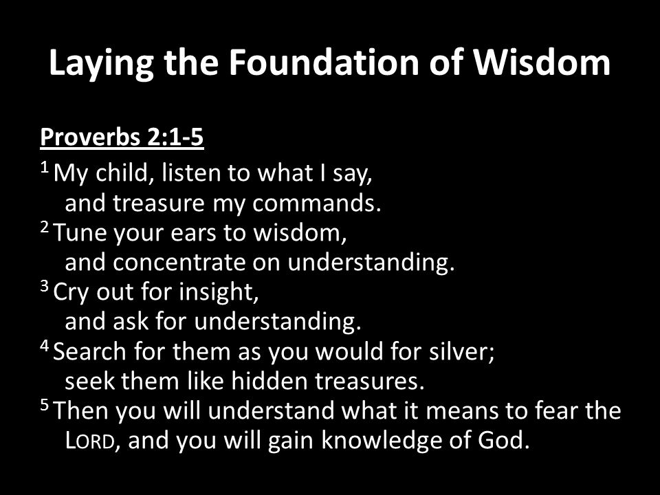 Image result for insight understand and wisdom