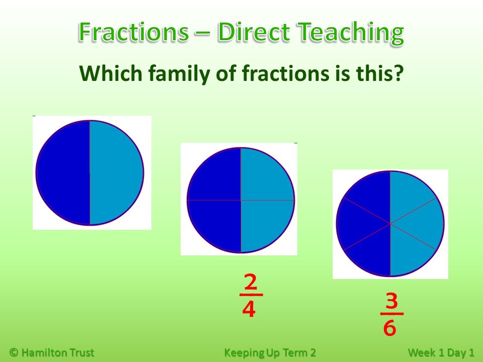 © Hamilton Trust Keeping Up Term 2 Week 1 Day 1 Which family of fractions is this __