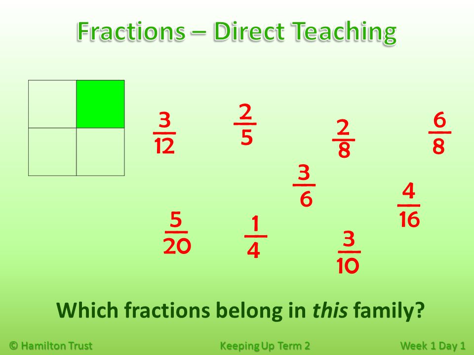 © Hamilton Trust Keeping Up Term 2 Week 1 Day 1 Which fractions belong in this family.