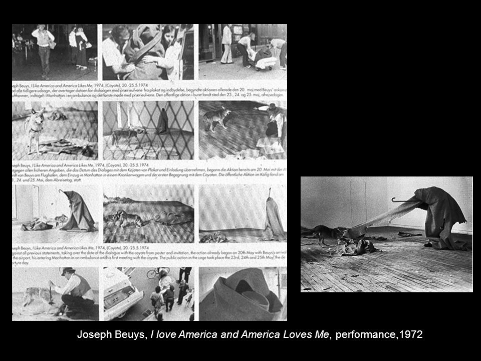 Joseph Beuys, I love America and America Loves Me, performance,1972