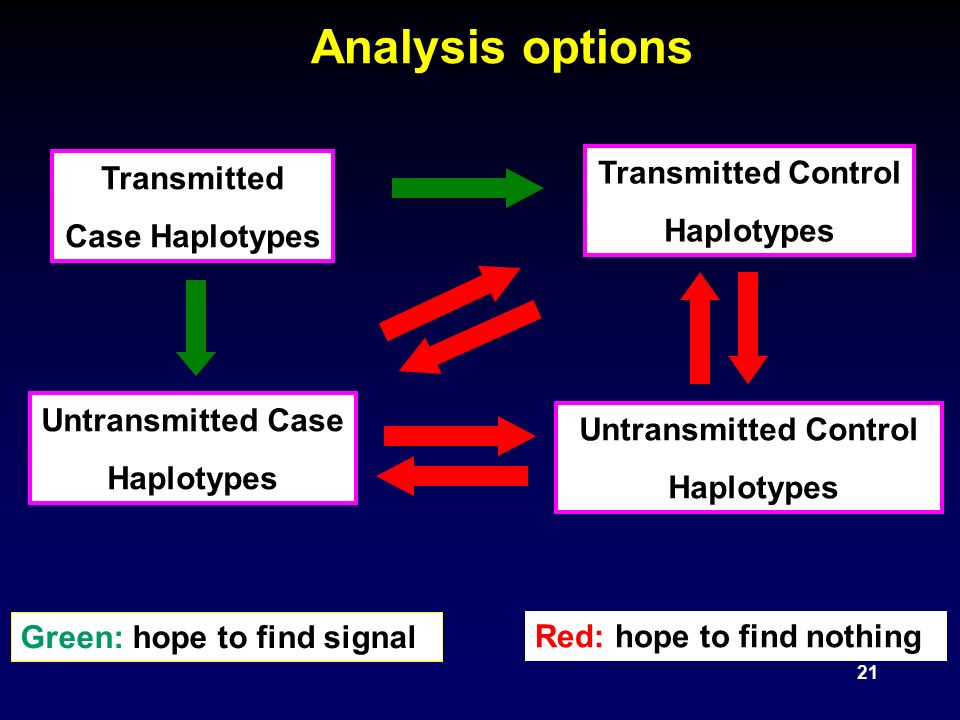 21 Analysis options Transmitted Case Haplotypes Untransmitted Case Haplotypes Transmitted Control Haplotypes Untransmitted Control Haplotypes Green: hope to find signal Red: hope to find nothing