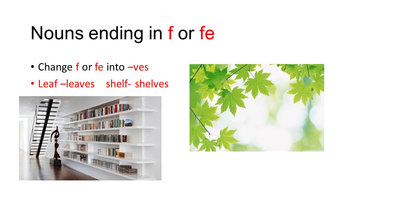 Nouns ending in f or fe Change f or fe into –ves Leaf –leaves shelf- shelves