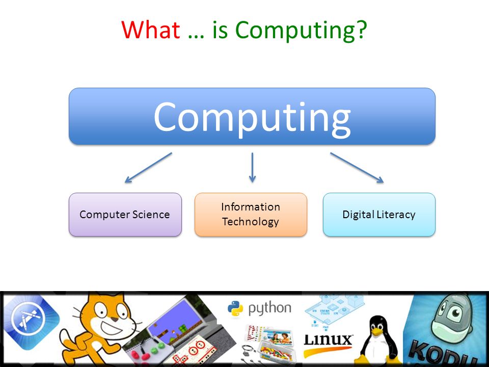 computer literacy and information technology