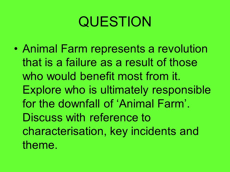 animal farm essay ideas
