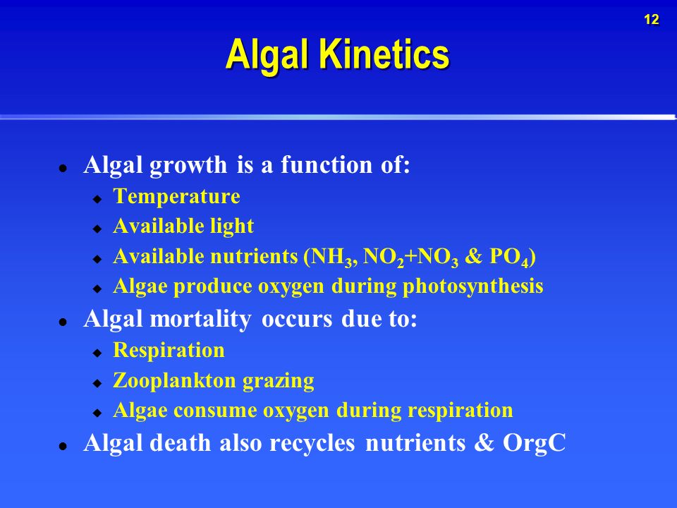 12 Algal Kinetics Algal growth is a function of:  Temperature  Available light  Available nutrients (NH 3, NO 2 +NO 3 & PO 4 )  Algae produce oxygen during photosynthesis Algal mortality occurs due to:  Respiration  Zooplankton grazing  Algae consume oxygen during respiration Algal death also recycles nutrients & OrgC