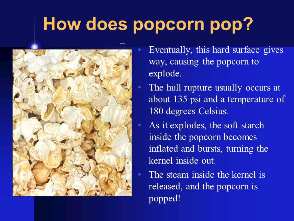 Early Popcorn History *Though popcorn probably originated in Mexico, it was  grown in China, Sumatra and India years before Columbus visited America. -  ppt download