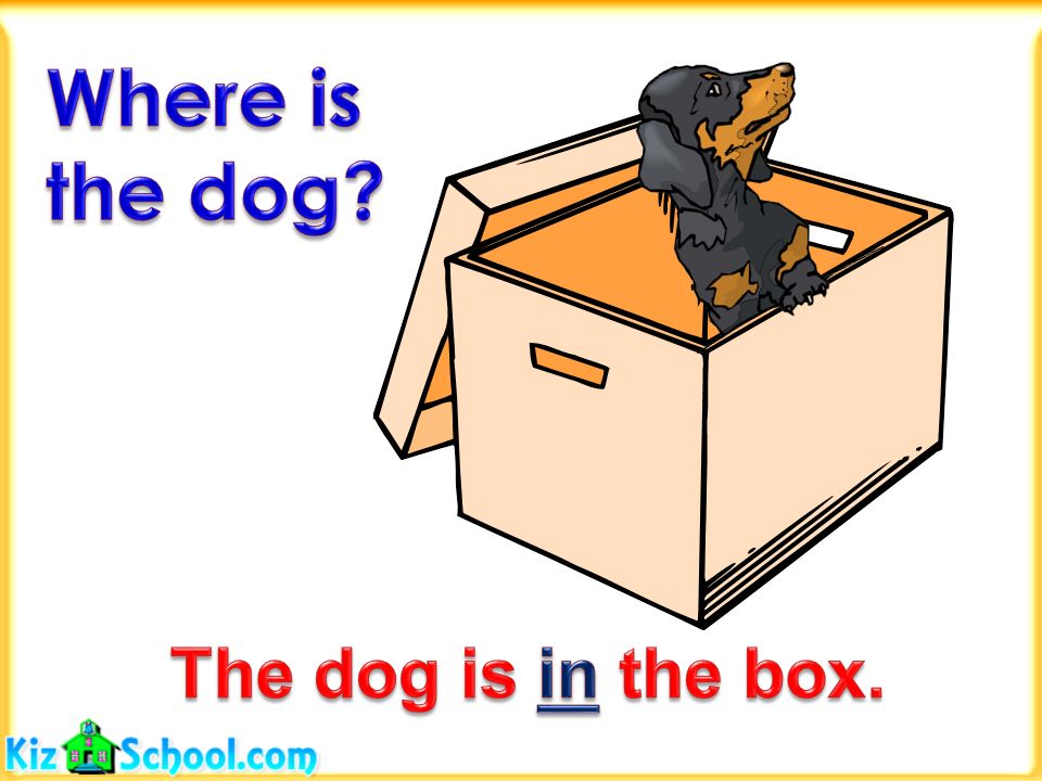 The book is in the box. Where is. Предлоги in on under картинки для детей. Where is the Dog. Where is in on under.