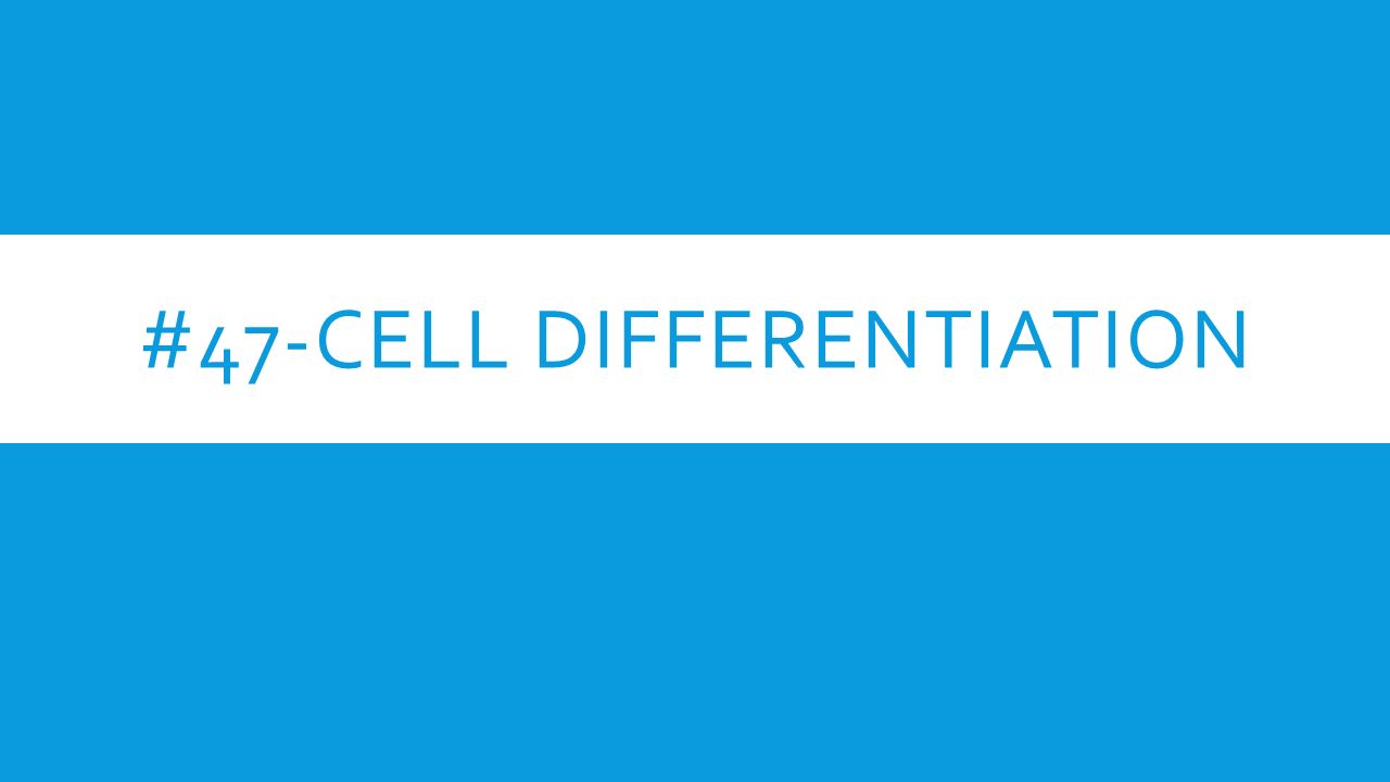 #47-CELL DIFFERENTIATION