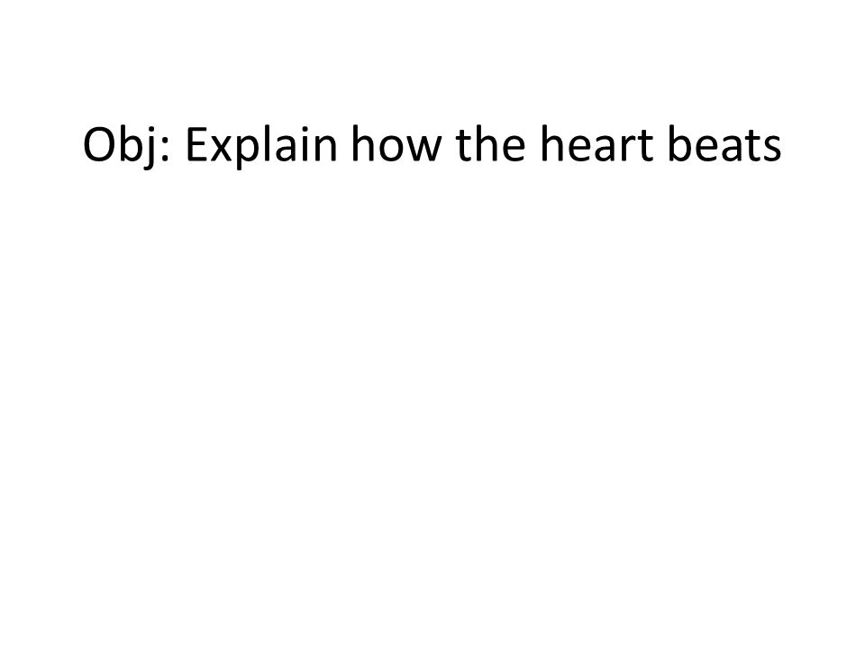 Obj: Explain how the heart beats