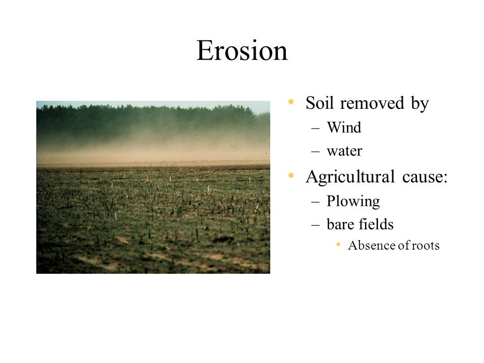 Erosion Soil removed by –Wind –water Agricultural cause: –Plowing –bare fields Absence of roots