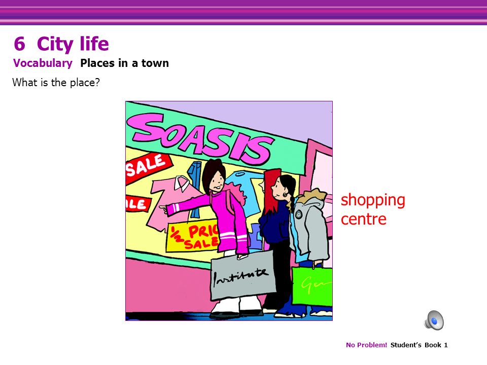 No Problem. Student’s Book 1 shopping centre What is the place.