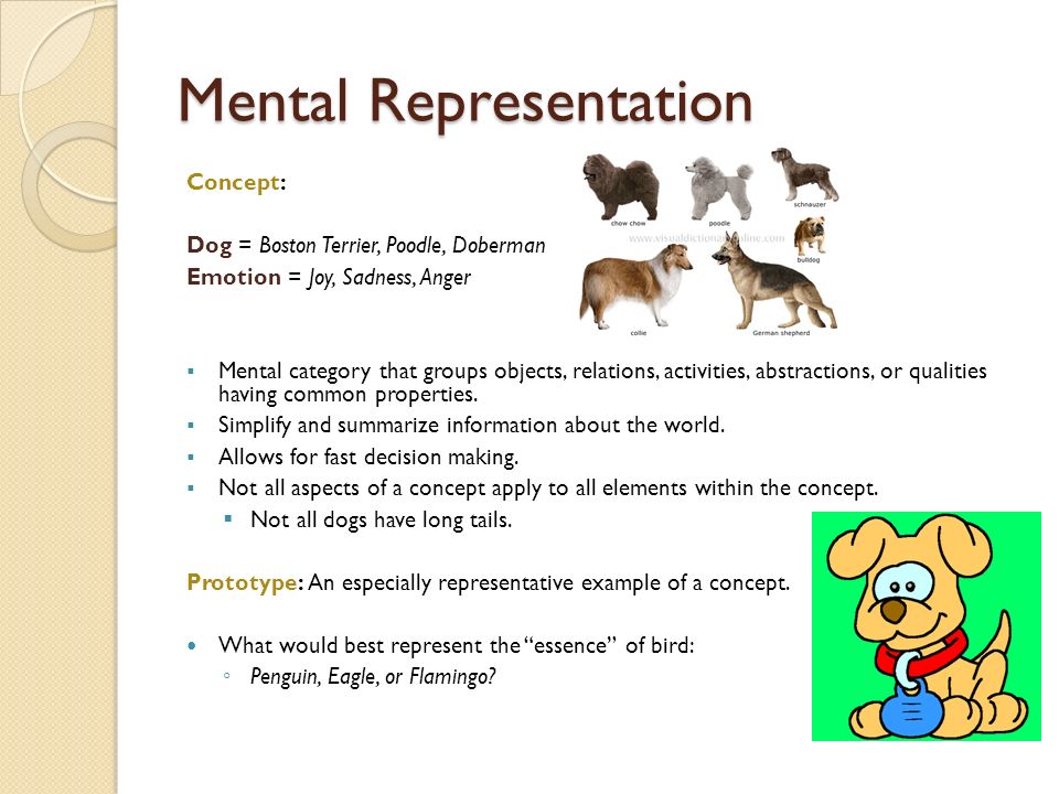 Mental representation 2025 child development