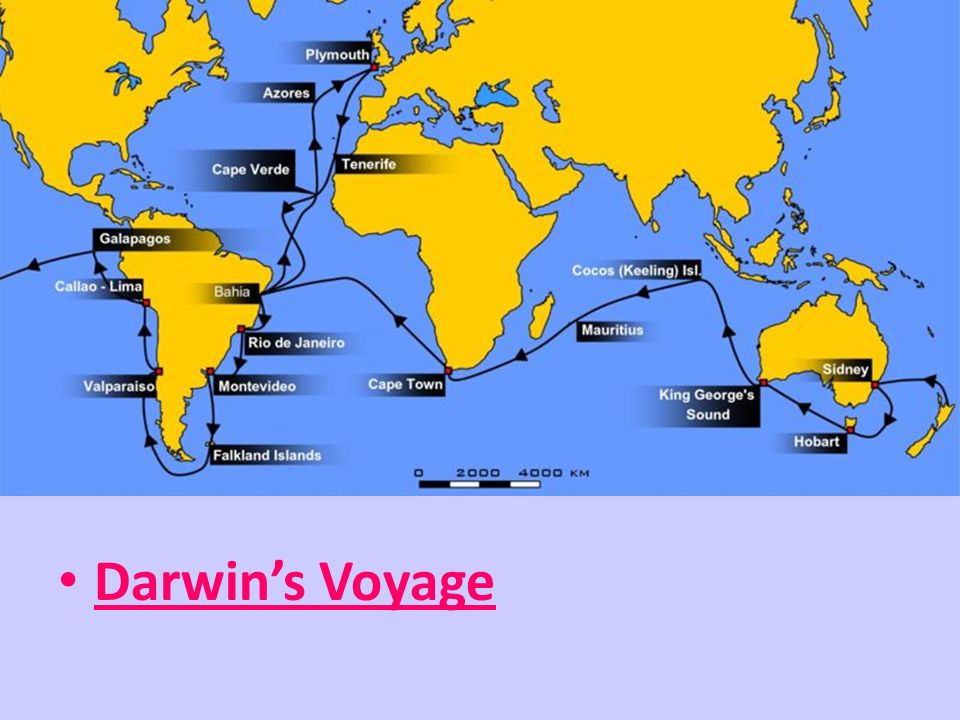 Darwin’s Voyage