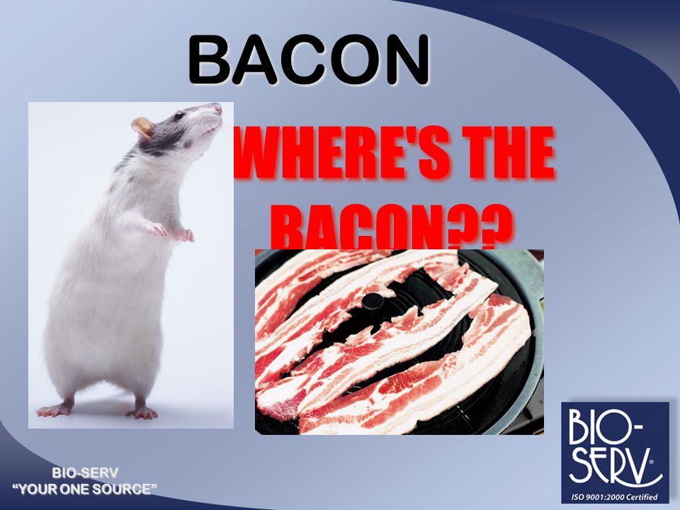 Bio-Serv: Bacon Softies, Certified