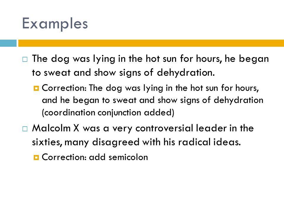 Examples  The dog was lying in the hot sun for hours, he began to sweat and show signs of dehydration.