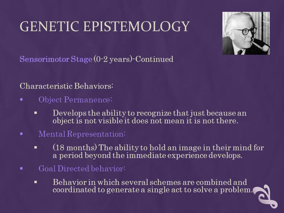 COGNITIVE THEORIES OF DEVELOPMENT  Genetic Epistemology  Cognitive  Mediation. - ppt download