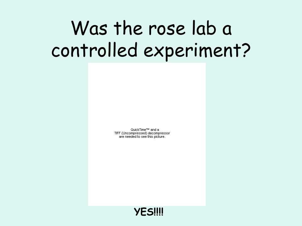 Was the rose lab a controlled experiment YES!!!!