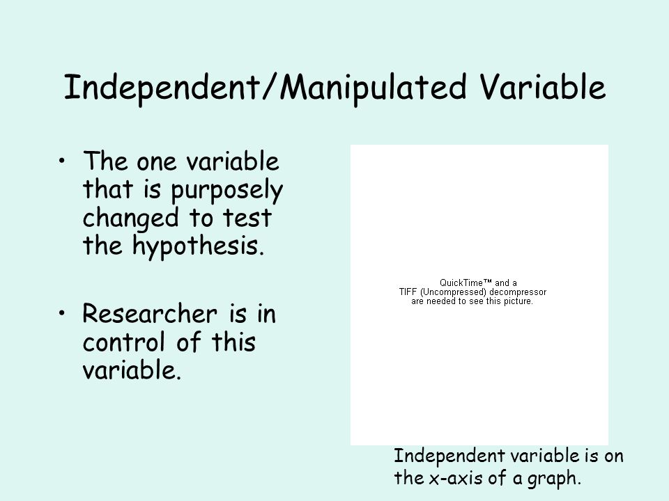 Independent/Manipulated Variable The one variable that is purposely changed to test the hypothesis.