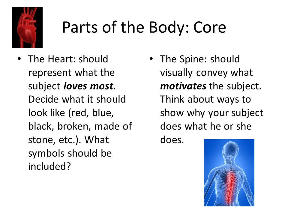 Parts of the Body: Core The Heart: should represent what the subject loves most.