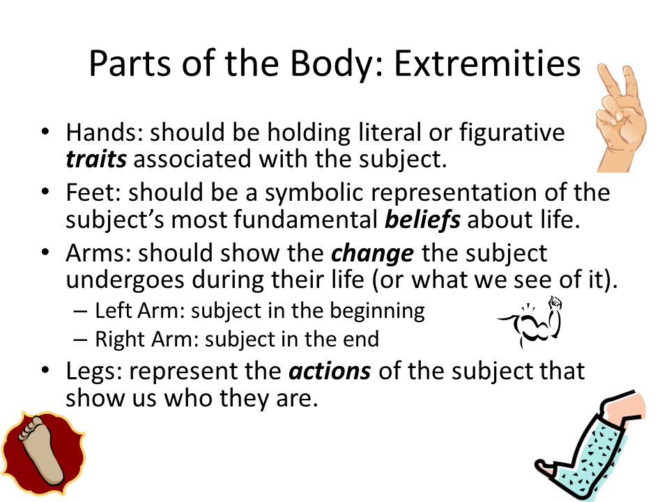 Parts of the Body: Extremities Hands: should be holding literal or figurative traits associated with the subject.