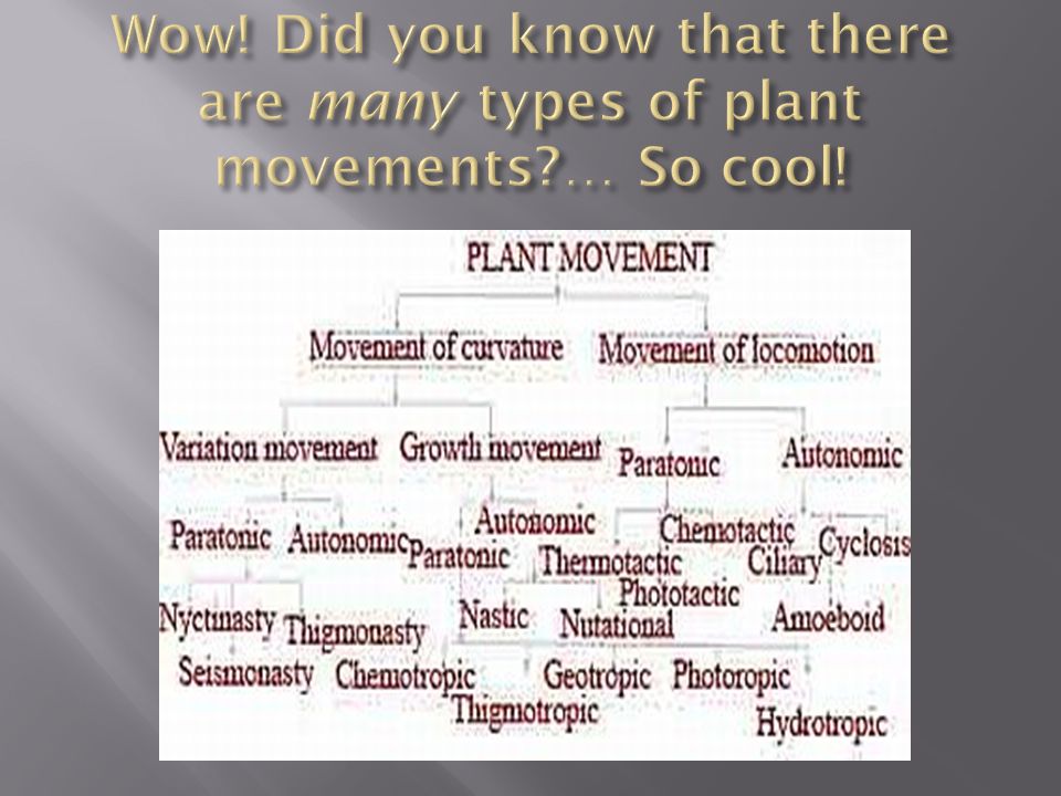 difference between autonomic and paratonic movements