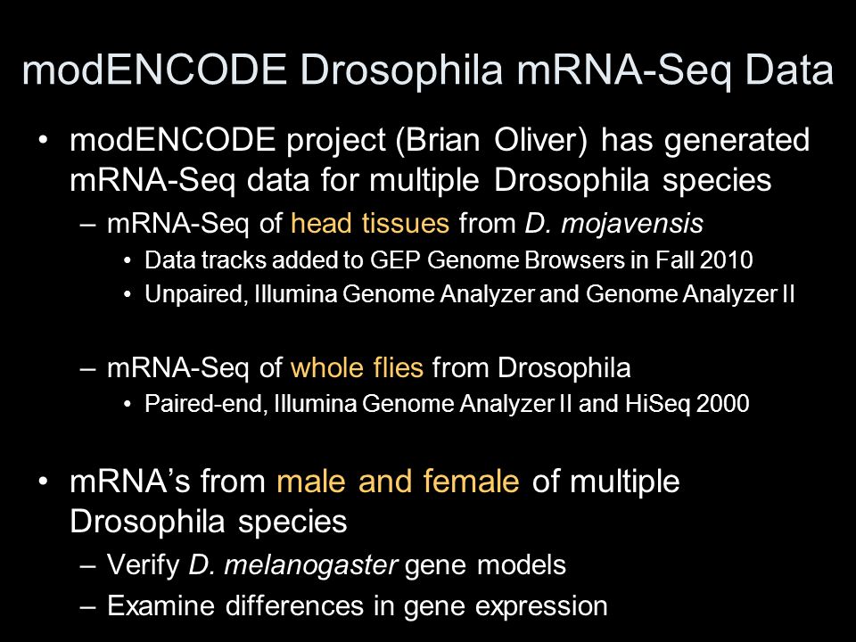 modENCODE Drosophila mRNA-Seq Data modENCODE project (Brian Oliver) has generated mRNA-Seq data for multiple Drosophila species –mRNA-Seq of head tissues from D.