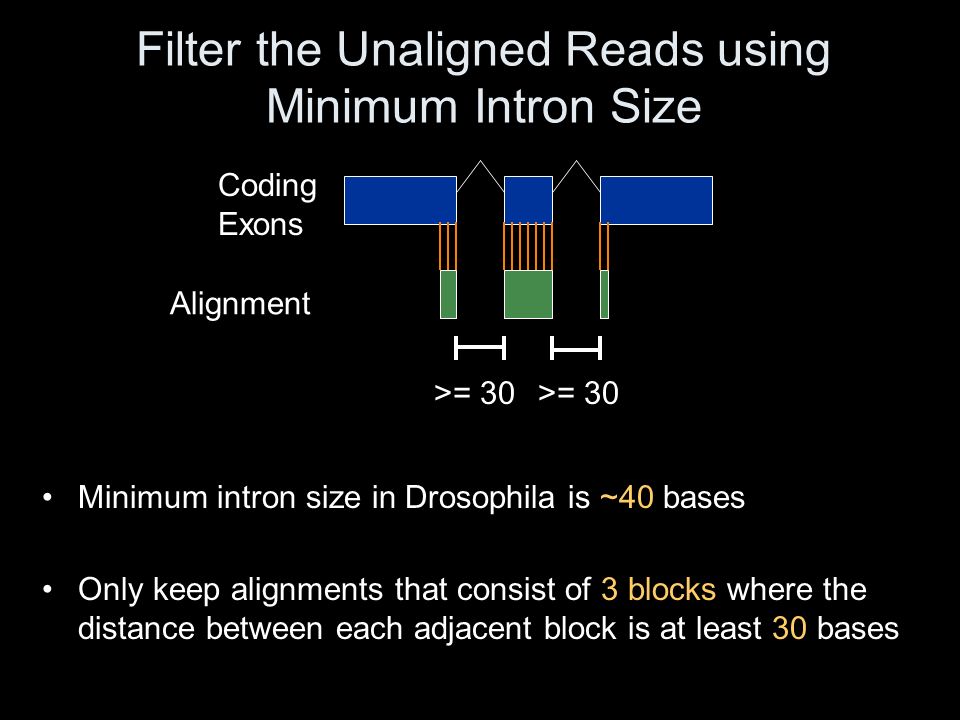 Filter the Unaligned Reads using Minimum Intron Size Coding Exons Alignment >= 30 Minimum intron size in Drosophila is ~40 bases Only keep alignments that consist of 3 blocks where the distance between each adjacent block is at least 30 bases