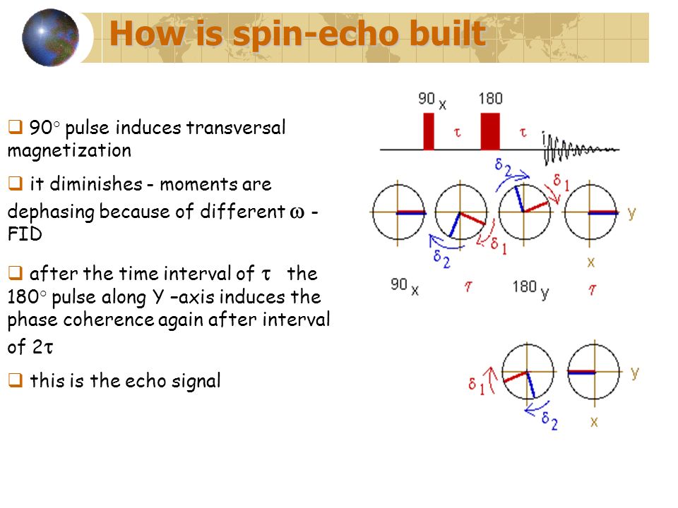 How is spin-echo built  90° pulse induces transversal magnetization  it diminishes - moments are dephasing because of different  - FID  after the time interval of  the 180° pulse along Y –axis induces the phase coherence again after interval of 2   this is the echo signal