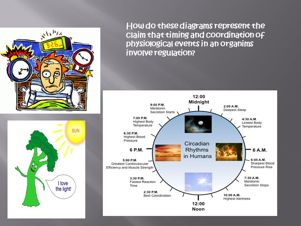 How do these diagrams represent the claim that timing and coordination of physiological events in an organims involve regulation