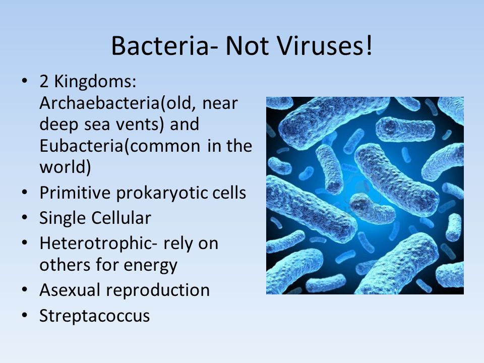Bacteria- Not Viruses.