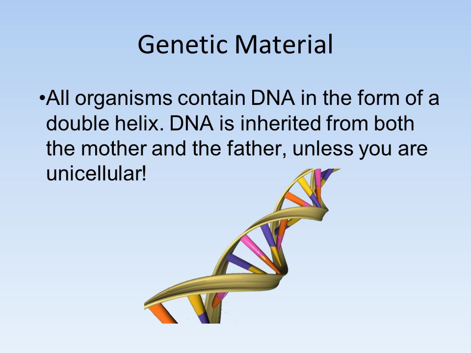 Genetic Material All organisms contain DNA in the form of a double helix.