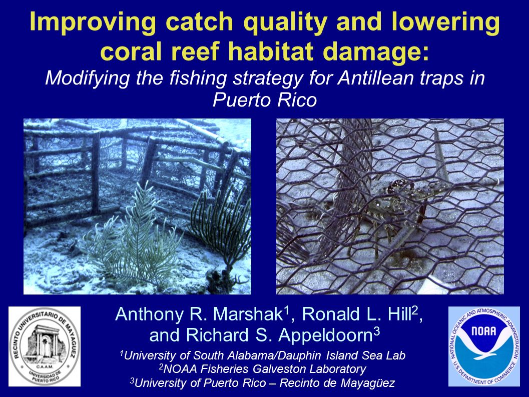 Improving catch quality and lowering coral reef habitat damage: Anthony R.