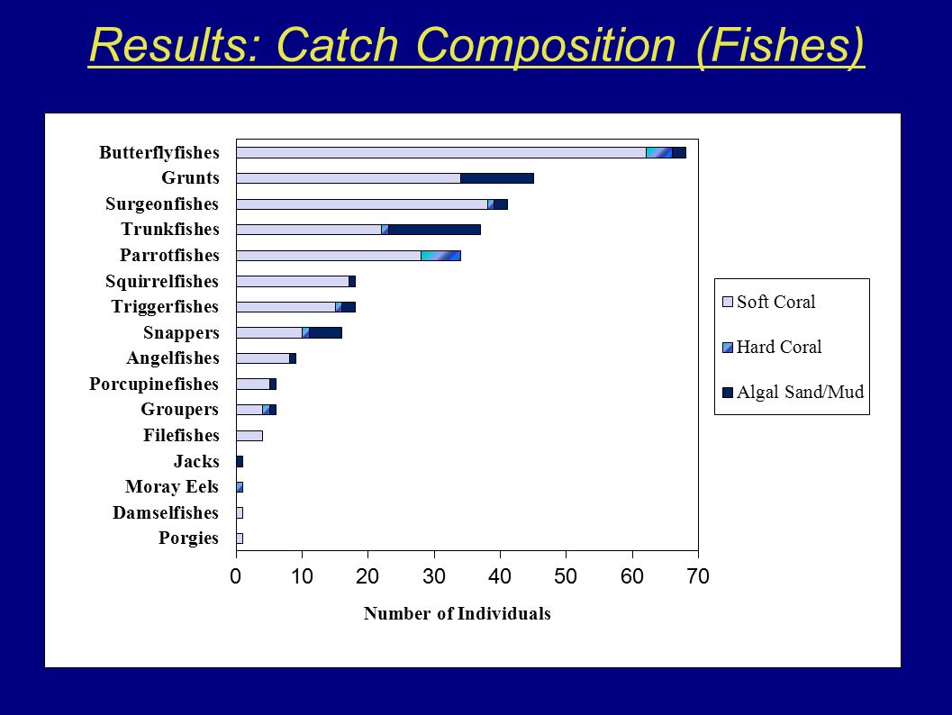 Results: Catch Composition (Fishes)