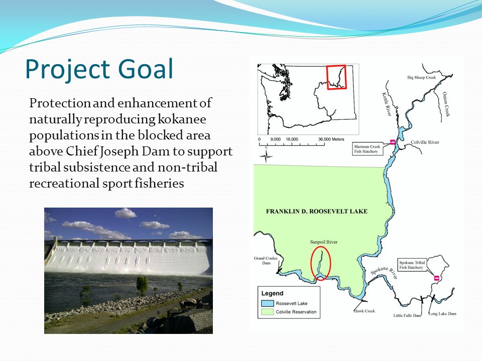 Project Goal Protection and enhancement of naturally reproducing kokanee populations in the blocked area above Chief Joseph Dam to support tribal subsistence and non-tribal recreational sport fisheries