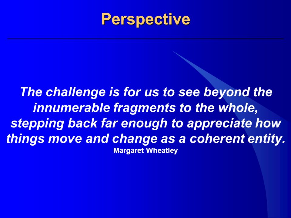 Perspective The challenge is for us to see beyond the innumerable fragments to the whole, stepping back far enough to appreciate how things move and change as a coherent entity.