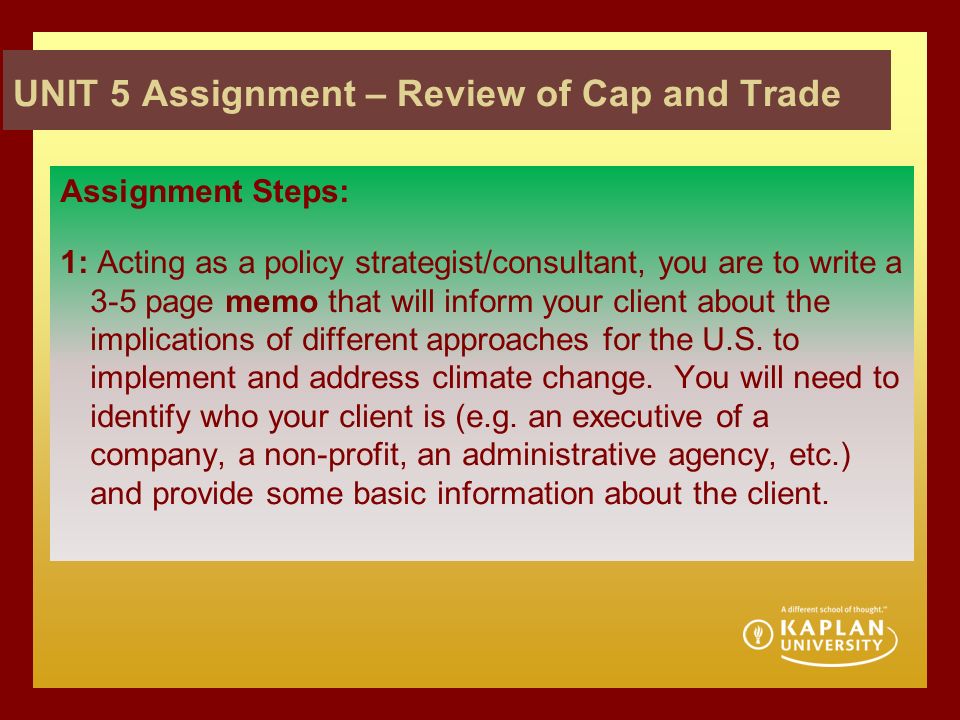 choose essay question how to answers