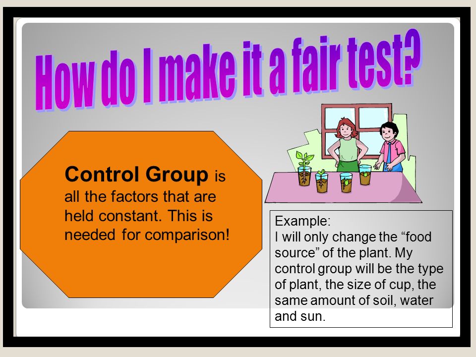 The next step scientists take is to create and conduct an experiment to test their experiment.