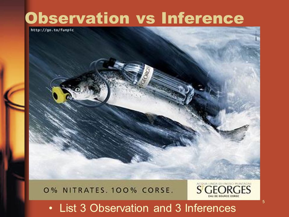 5 Observation vs Inference List 3 Observation and 3 Inferences