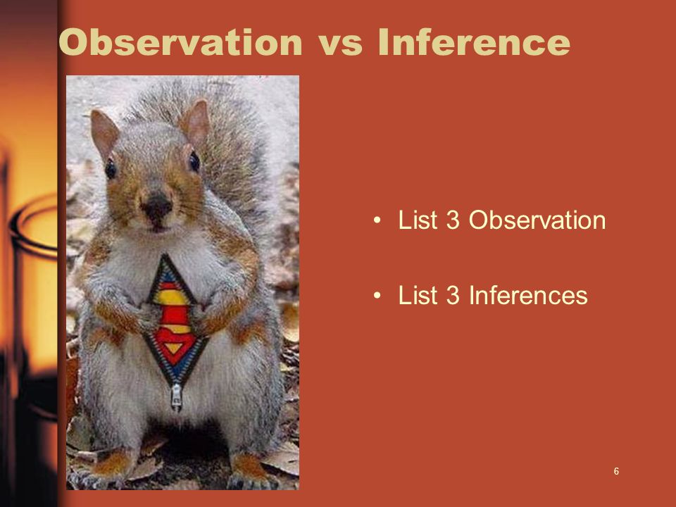 6 Observation vs Inference List 3 Observation List 3 Inferences