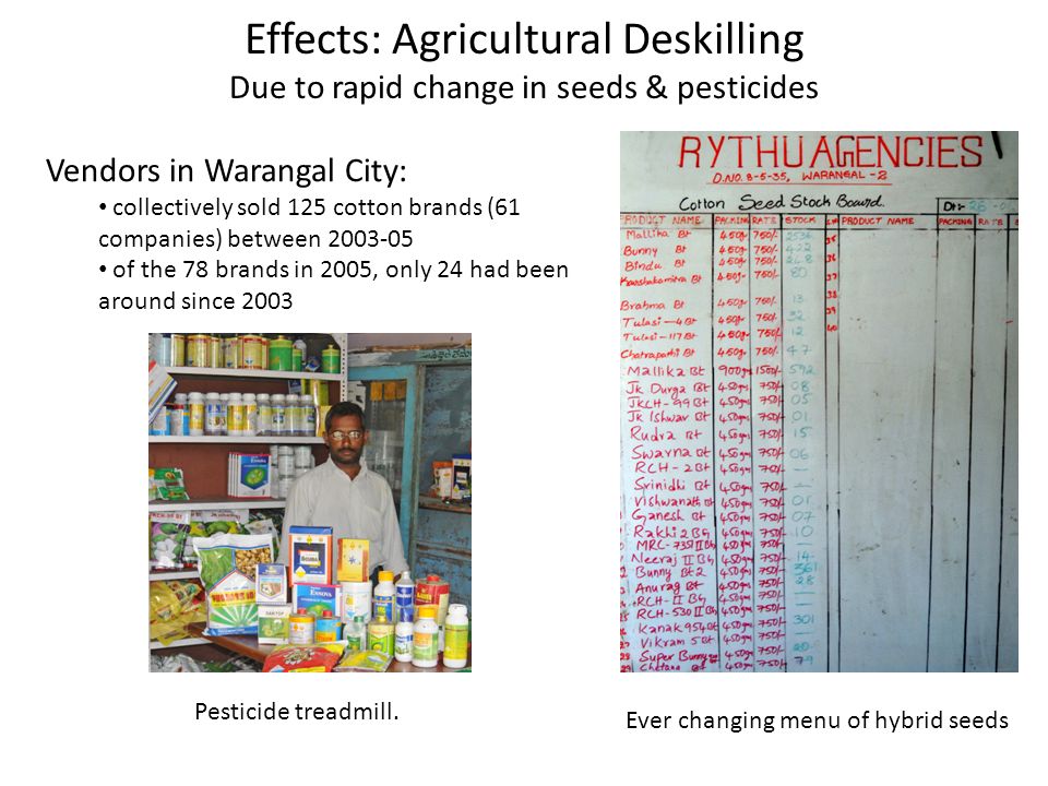Effects: Agricultural Deskilling Due to rapid change in seeds & pesticides Vendors in Warangal City: collectively sold 125 cotton brands (61 companies) between of the 78 brands in 2005, only 24 had been around since 2003 Pesticide treadmill.