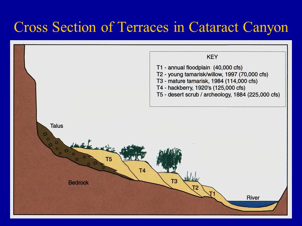 Cross Section of Terraces in Cataract Canyon
