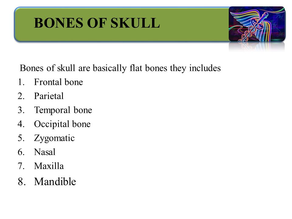 BONES OF SKULL Bones of skull are basically flat bones they includes 1.Frontal bone 2.Parietal 3.Temporal bone 4.Occipital bone 5.Zygomatic 6.Nasal 7.Maxilla 8.Mandible