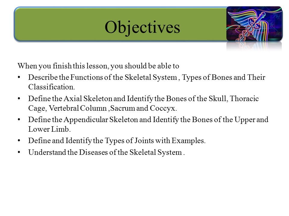 Objectives When you finish this lesson, you should be able to Describe the Functions of the Skeletal System, Types of Bones and Their Classification.