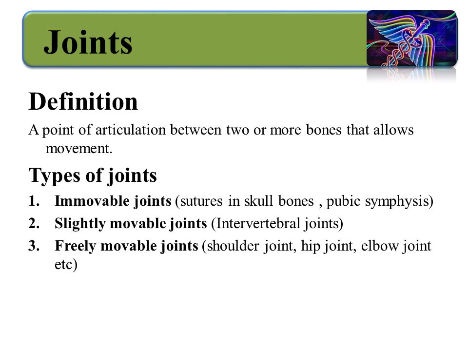 Joints Definition A point of articulation between two or more bones that allows movement.