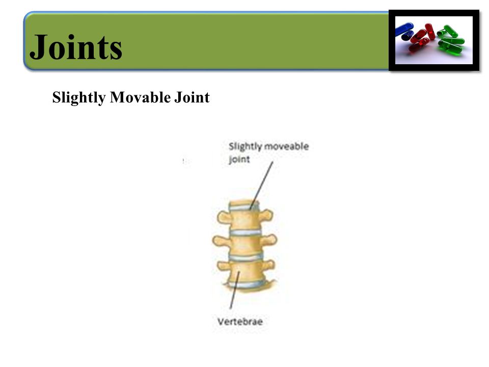 Slightly Movable Joint Joints