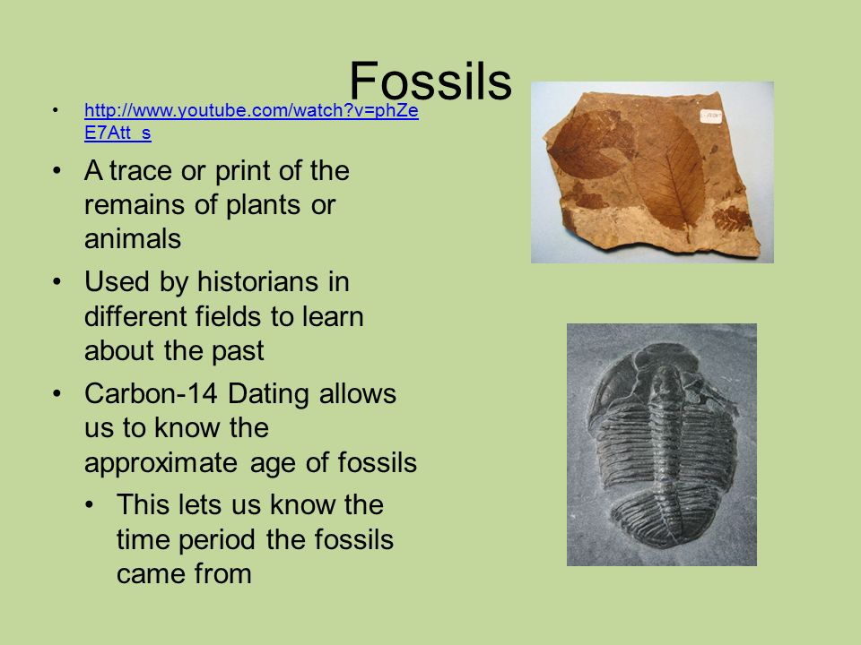 Fossils   v=phZe E7Att_shttp://  v=phZe E7Att_s A trace or print of the remains of plants or animals Used by historians in different fields to learn about the past Carbon-14 Dating allows us to know the approximate age of fossils This lets us know the time period the fossils came from