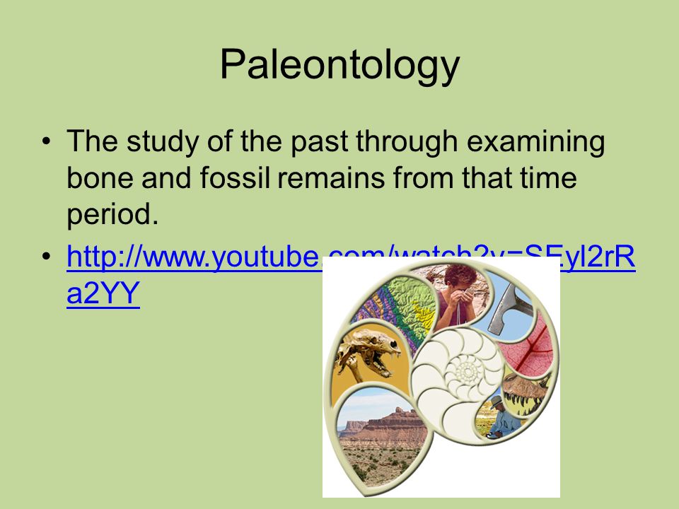 Paleontology The study of the past through examining bone and fossil remains from that time period.